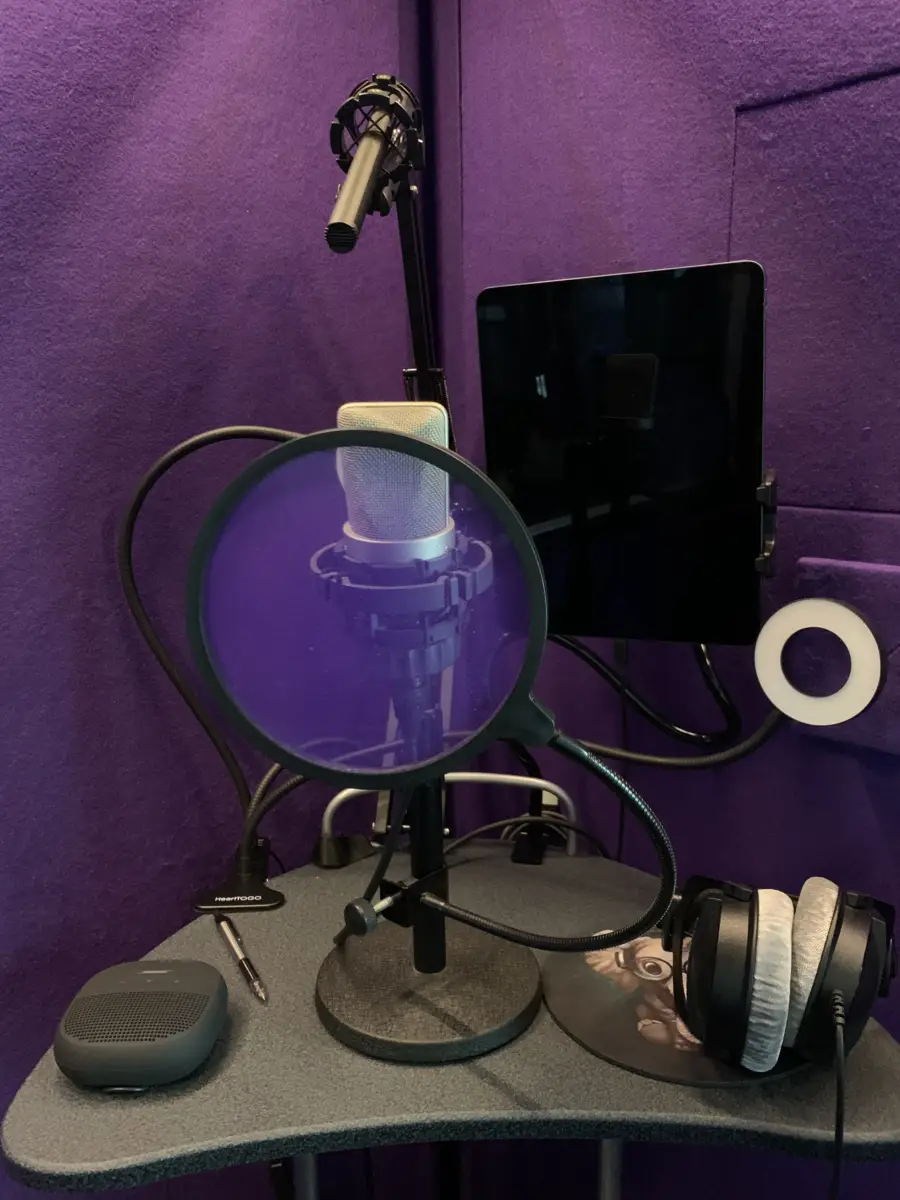Misty Lee Voiceover Home Booth Mics